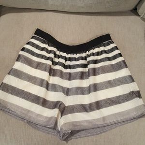 BCBG grey and black high waisted shorts.